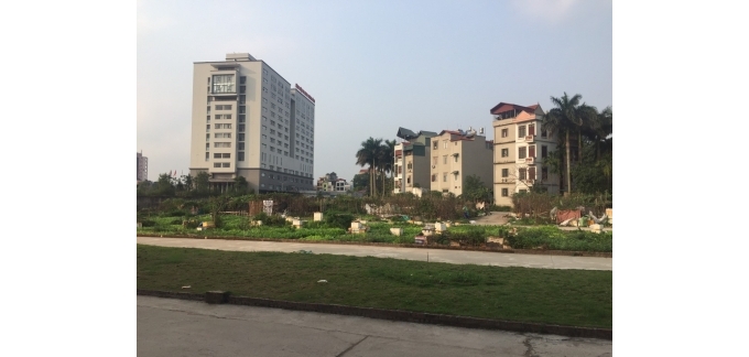1584945981_4149_013079.jpg