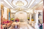 Bán Biệt Thự Trung Yên, Trung Hòa, 195m2, 4 Tầng, Nội Thất Cung Điện Châu Âu